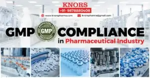 Read more about the article Navigating GMP Compliance in the Pharmaceutical Industry: A Comprehensive Guide by Knors Pharma