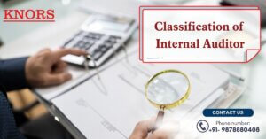 Read more about the article Classification of internal auditor?