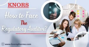 Read more about the article How do you face the regulatory auditor?